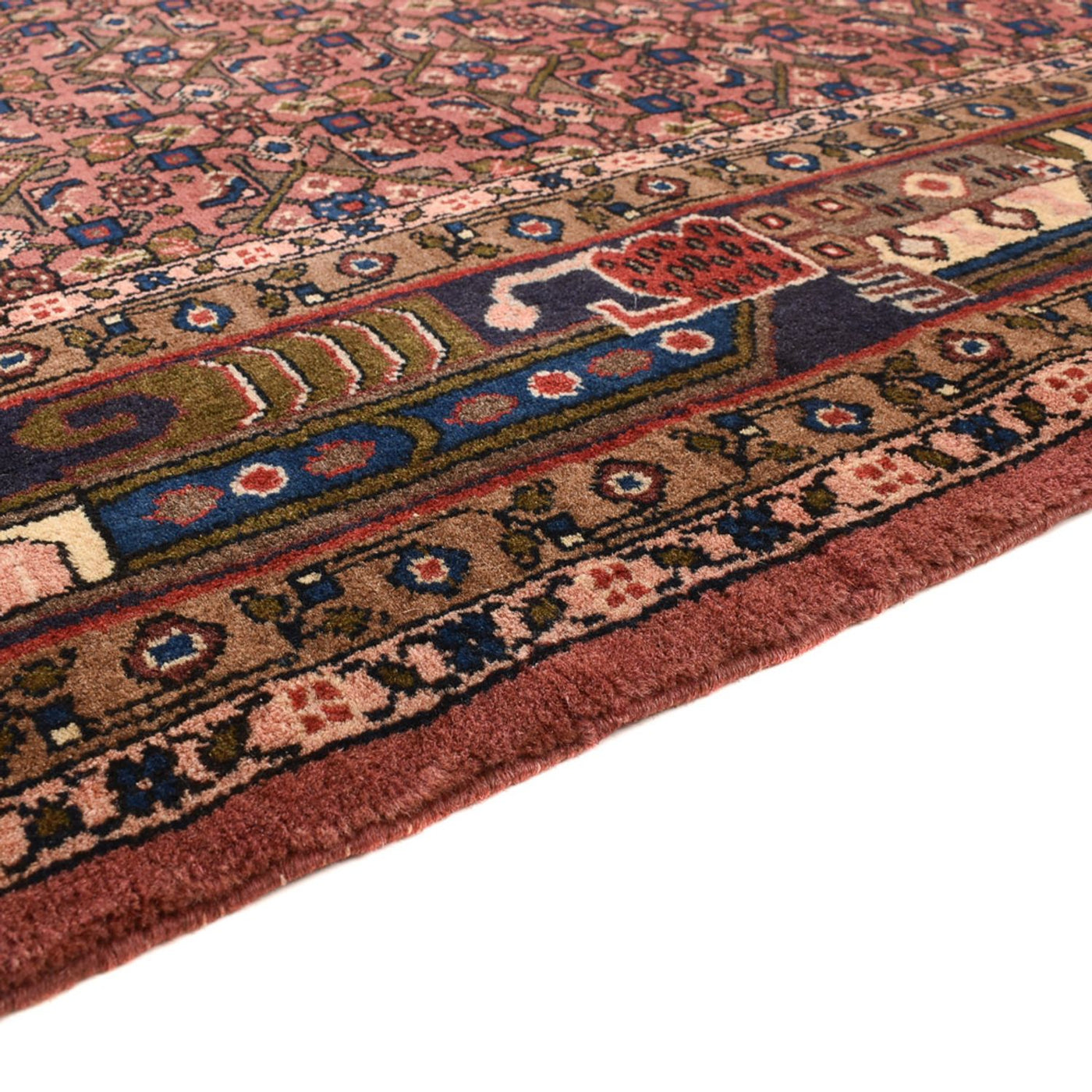 Kolyai Rug 286x206cm - Persian Rugs