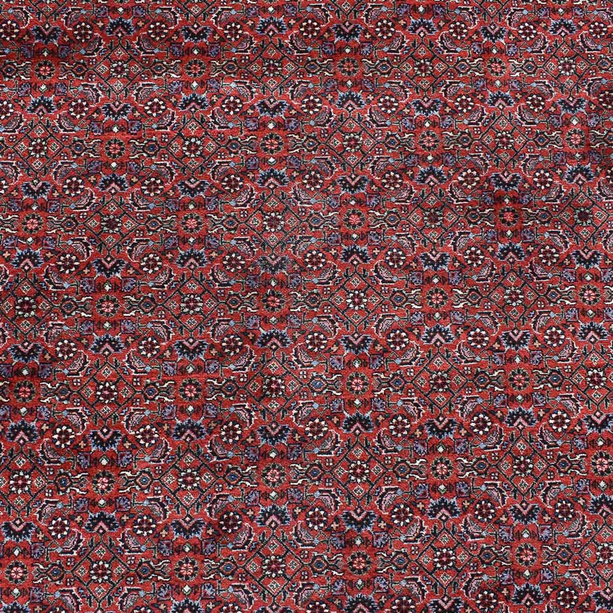 Perser Rug - Bidjar - 490 x 350 cm - bordeaux red
