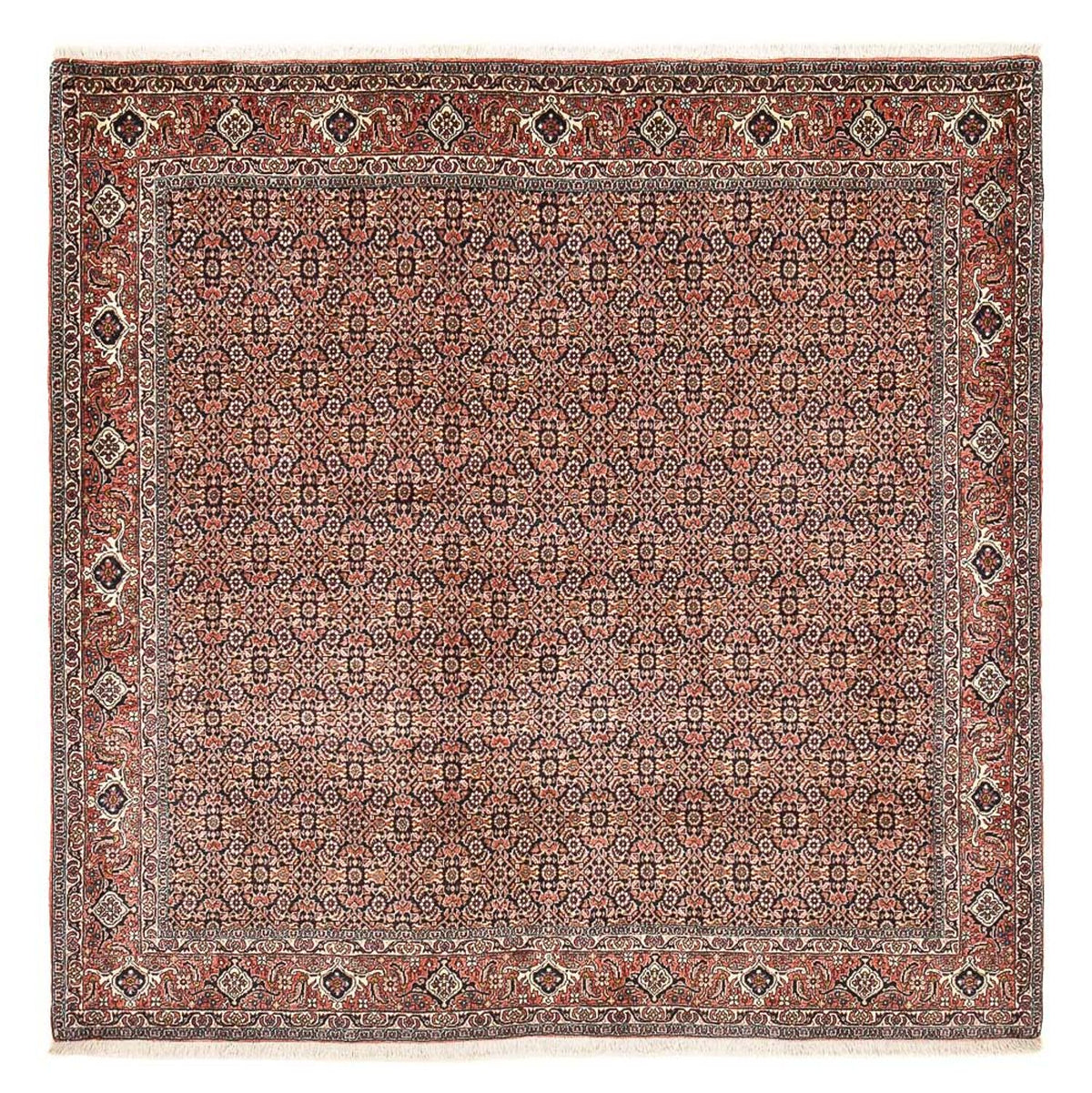 Perser Rug - Bidjar square  - 204 x 203 cm - rust