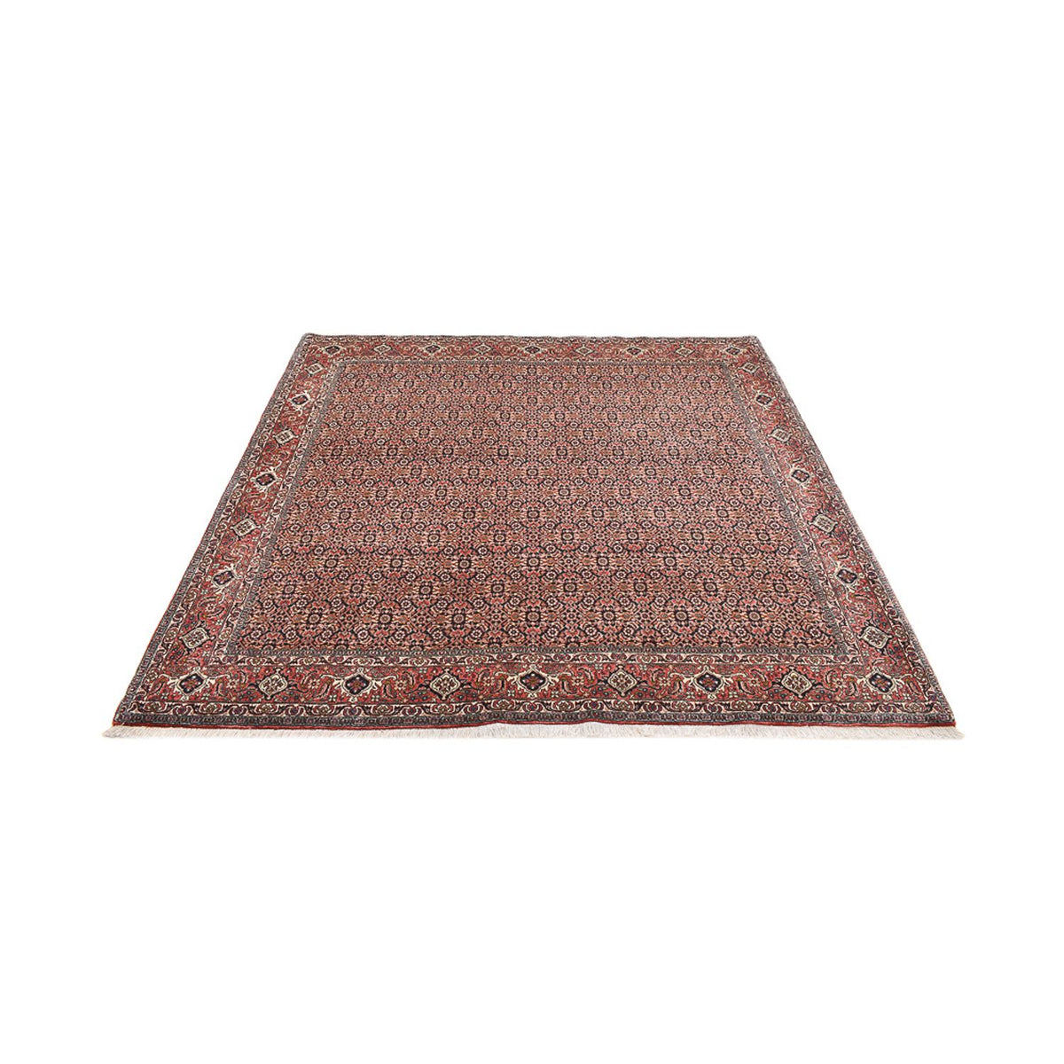 Perser Rug - Bidjar square  - 204 x 203 cm - rust