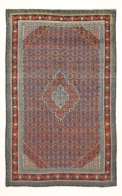 Tabriz Rug 186x297cm - Persian Rugs