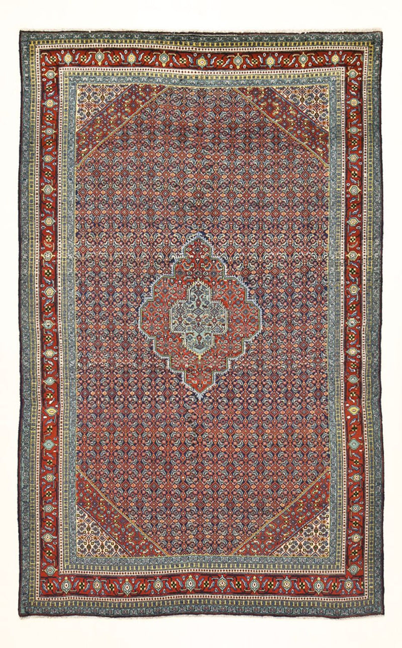Tabriz Rug 186x297cm - Persian Rugs