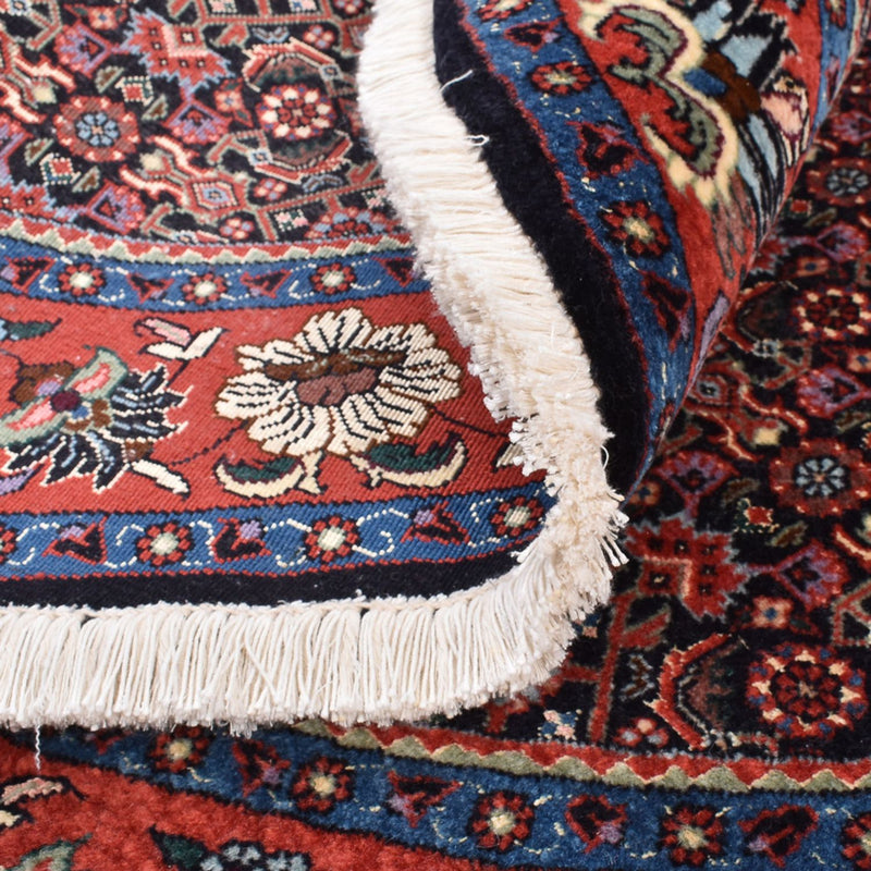 Bidjar Rug 153x153cm - Persian Rugs