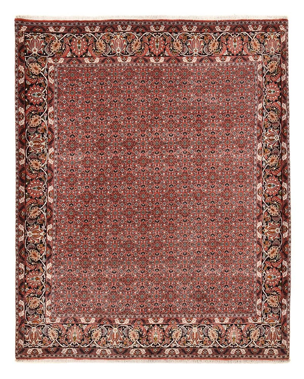 Perser Rug - Bidjar - 250 x 200 cm - dark red