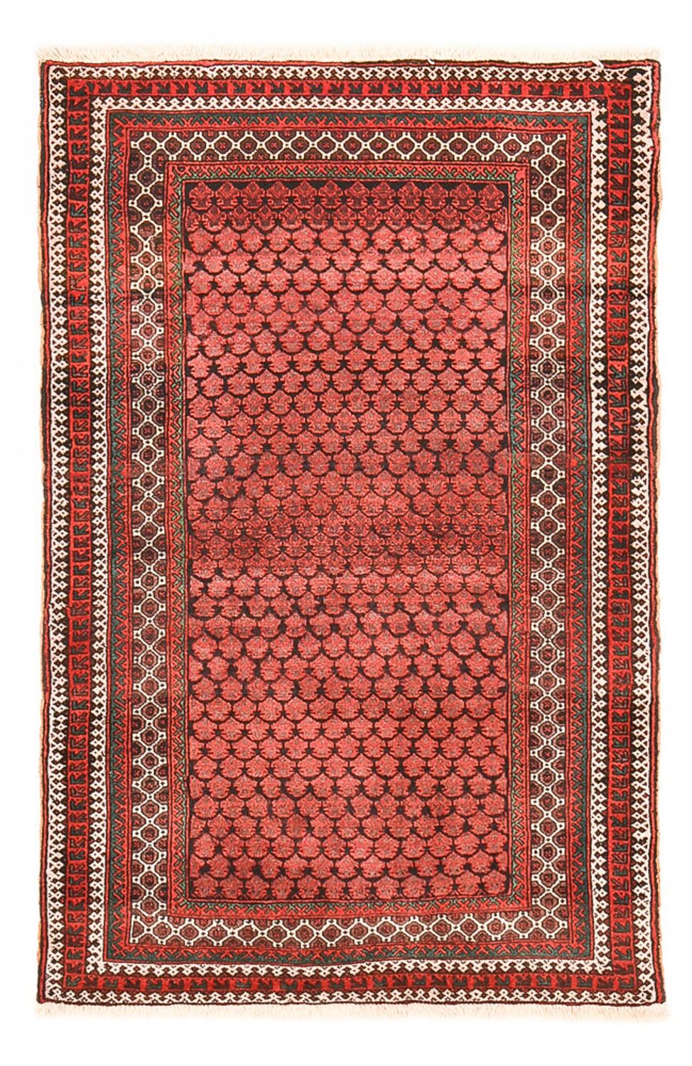 Belutsch Rug - 141 x 94 cm - red