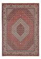 Bidjar Rug 292x205cm - Persian Rugs