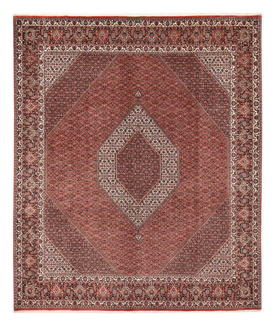 Bidjar Rug 302x358cm - Persian Rugs - rust