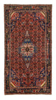 Kolyai Rug 278x142cm - Persian Rugs