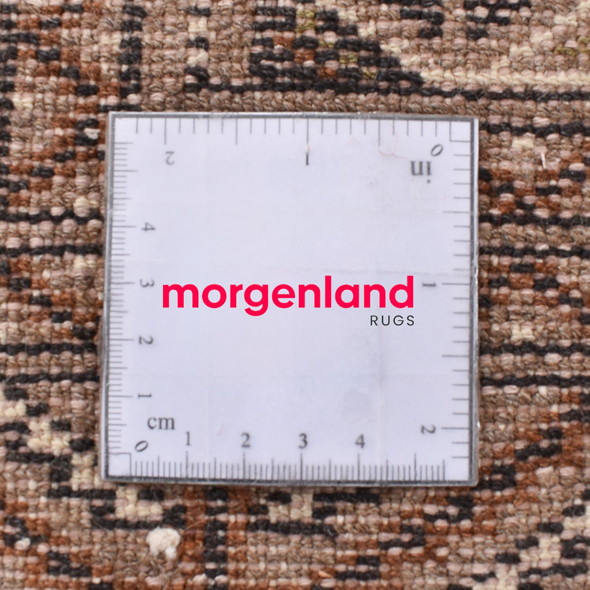 Turkaman Rug - 290 x 200 cm - beige