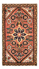 Hamadan Rug 100x54cm - Persian Rugs
