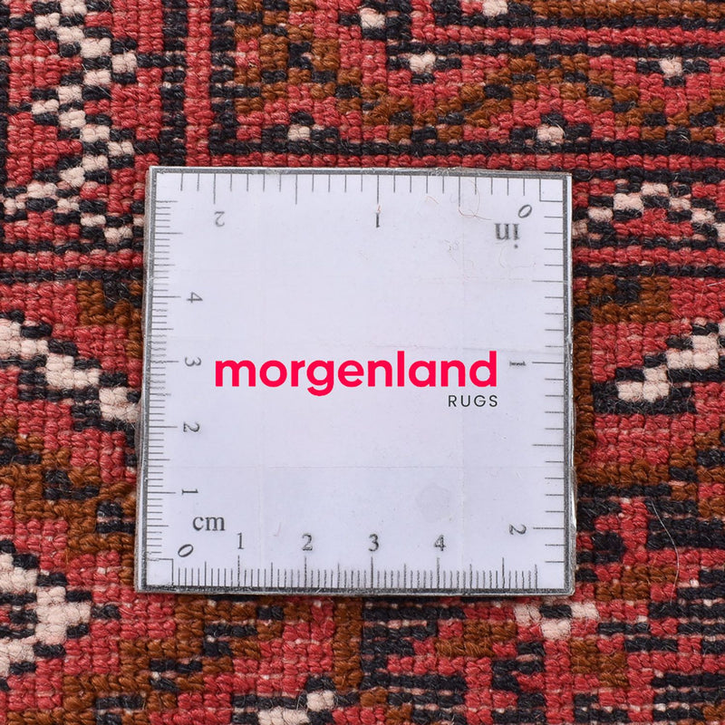 Turkaman Rug - 280 x 203 cm - light red