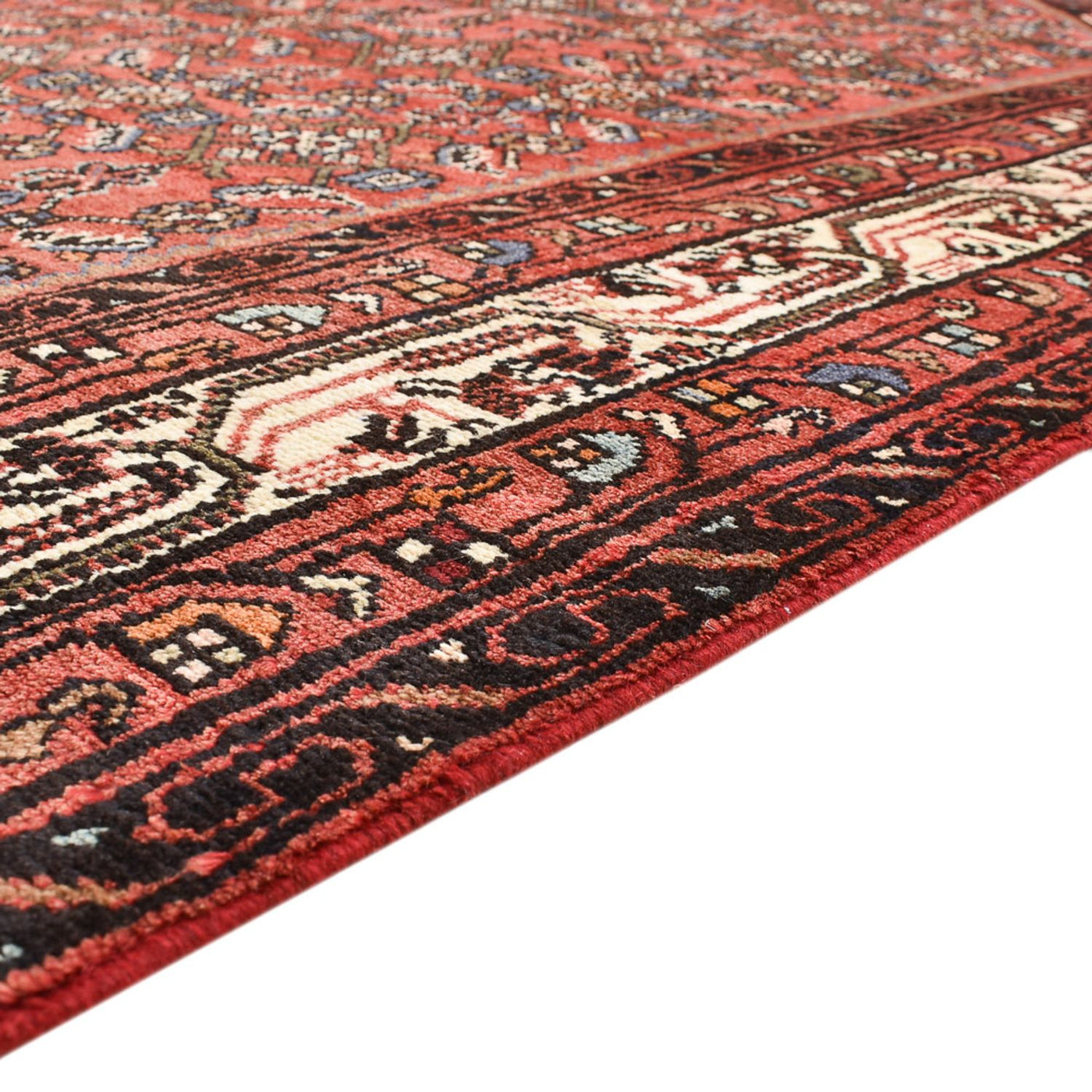 Hamadan Rug 227x150cm - Persian Rugs