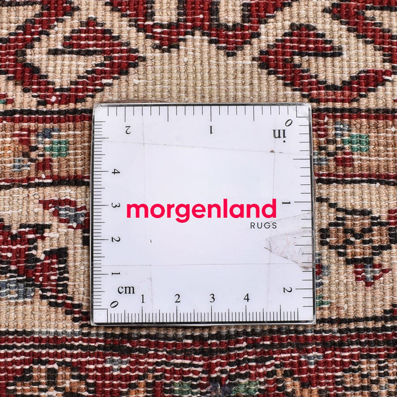 Hamadan Rug 66x85cm - Persian Rugs