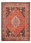 Perser Rug - Bidjar - 205 x 147 cm - red