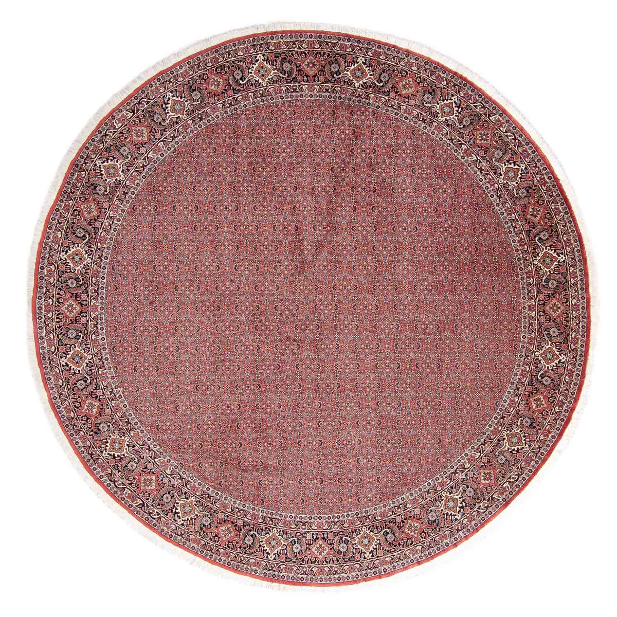 Perser Rug - Bidjar round  - 305 x 305 cm - light red