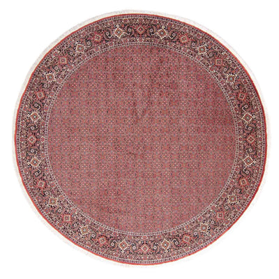 Bidjar Rug 305x305cm - Persian Rugs