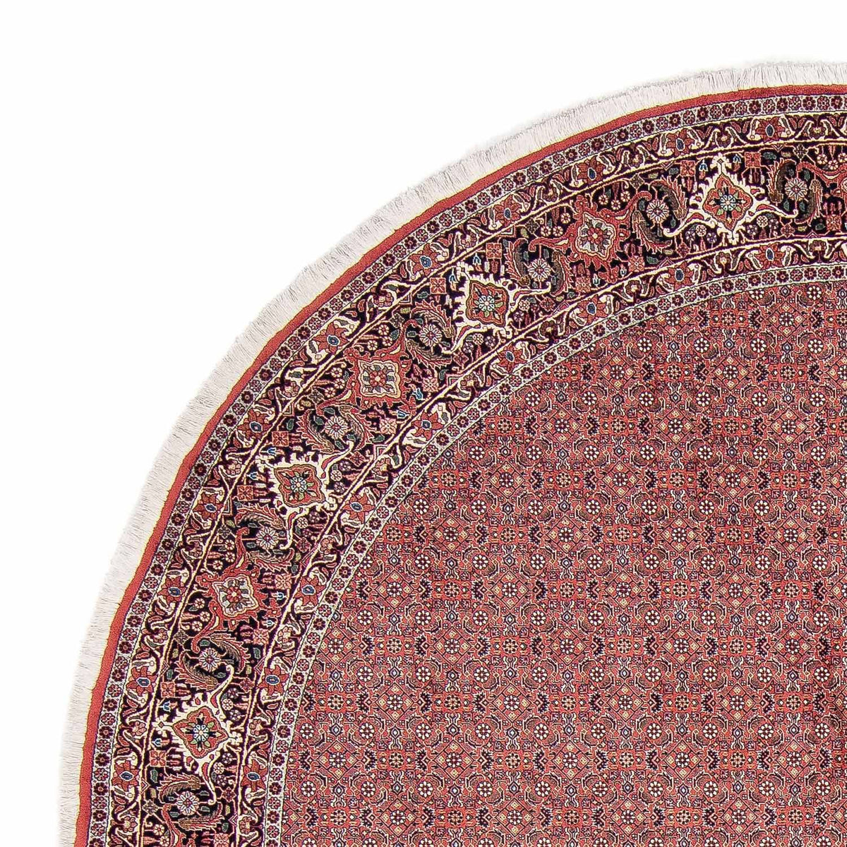Perser Rug - Bidjar round  - 305 x 305 cm - light red