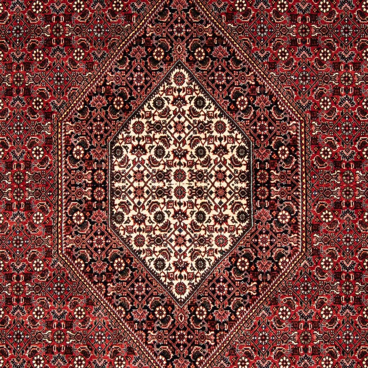 Perser Rug - Bidjar - 240 x 166 cm - dark red