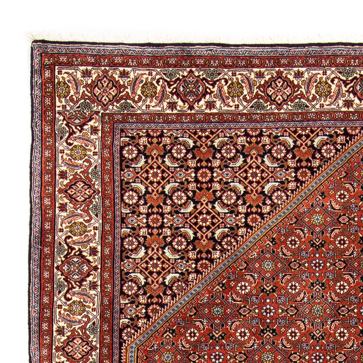Bidjar Rug 167x245cm - Persian Rugs