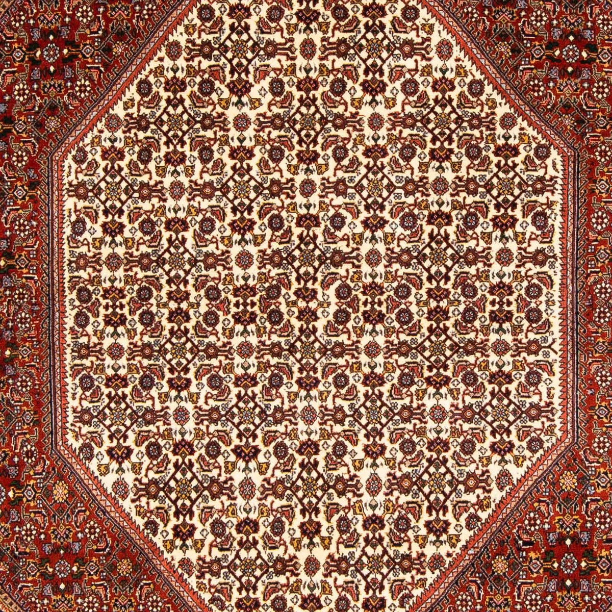 Perser Rug - Bidjar - 231 x 163 cm - multicolored