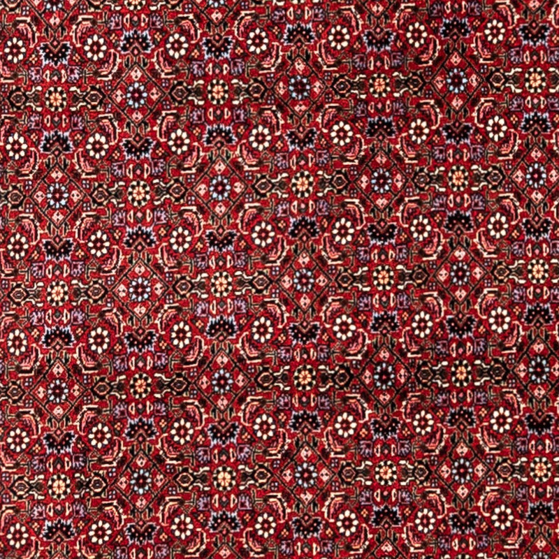 Perser Rug - Bidjar - 331 x 254 cm - red