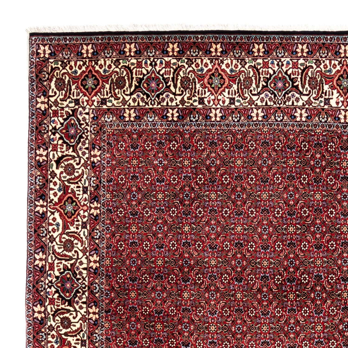 Perser Rug - Bidjar - 331 x 254 cm - red