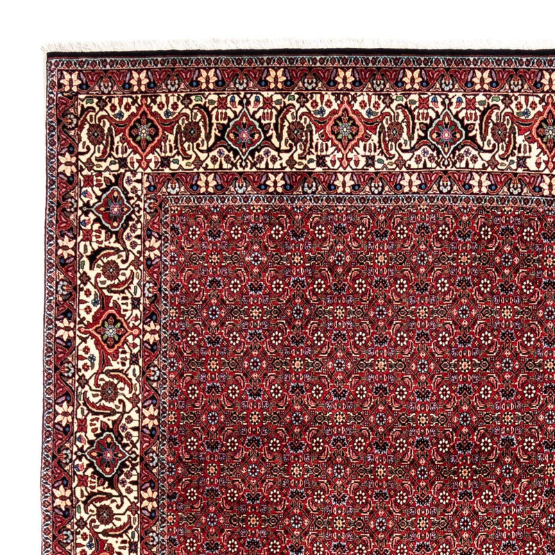 Perser Rug - Bidjar - 331 x 254 cm - red