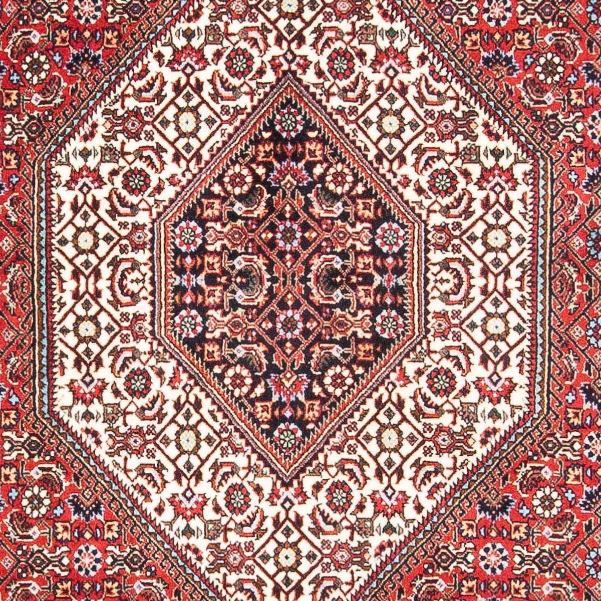 Perser Rug - Bidjar - 172 x 112 cm - red