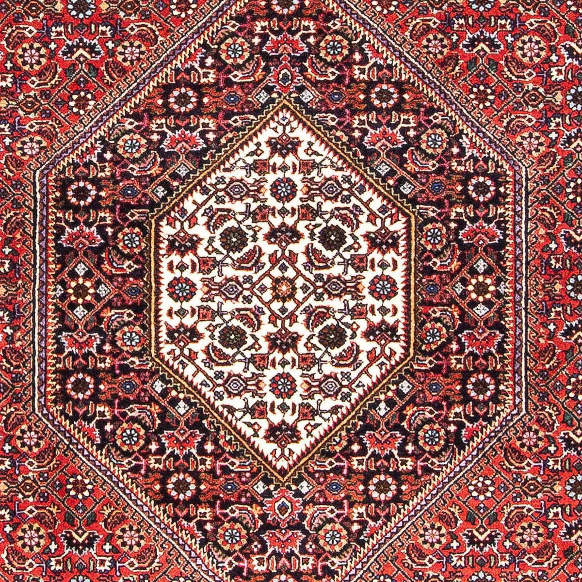 Perser Rug - Bidjar - 170 x 109 cm - red