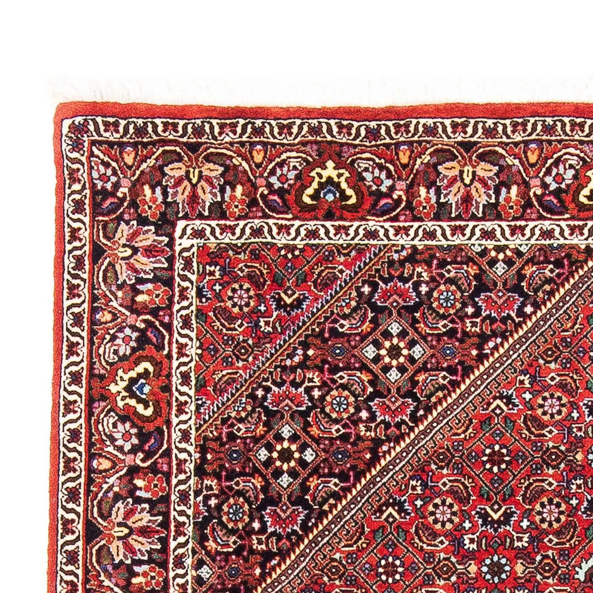 Bidjar Rug 109x170cm - Persian Rugs
