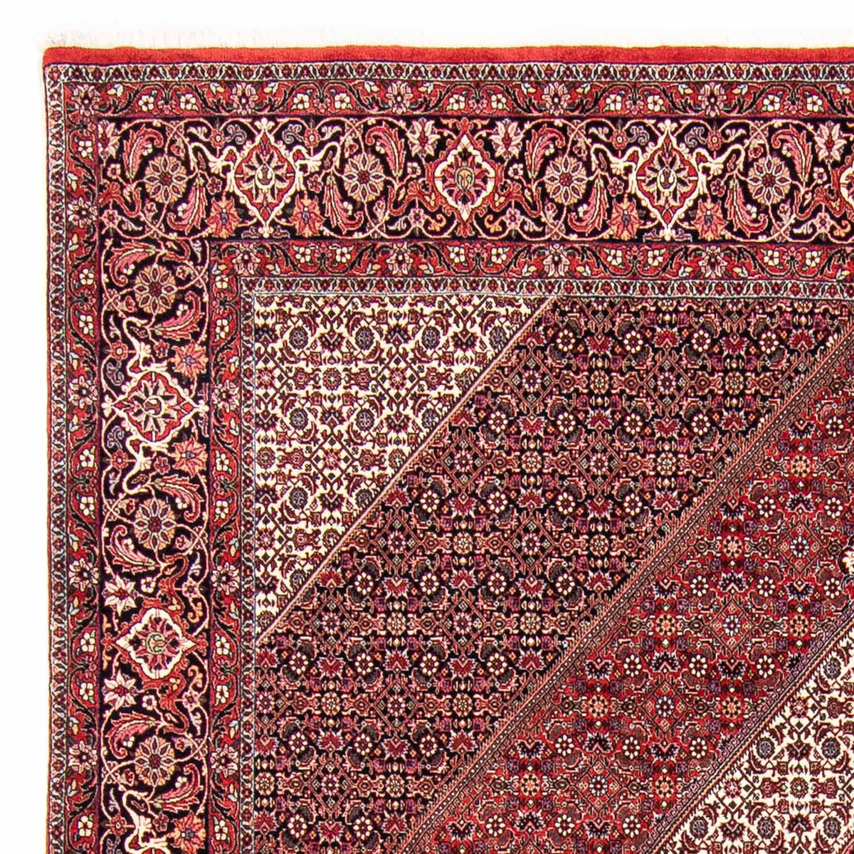 Bidjar Rug 250x304cm - Persian Rugs