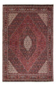 Bidjar Rug 246x167cm - Persian Rugs