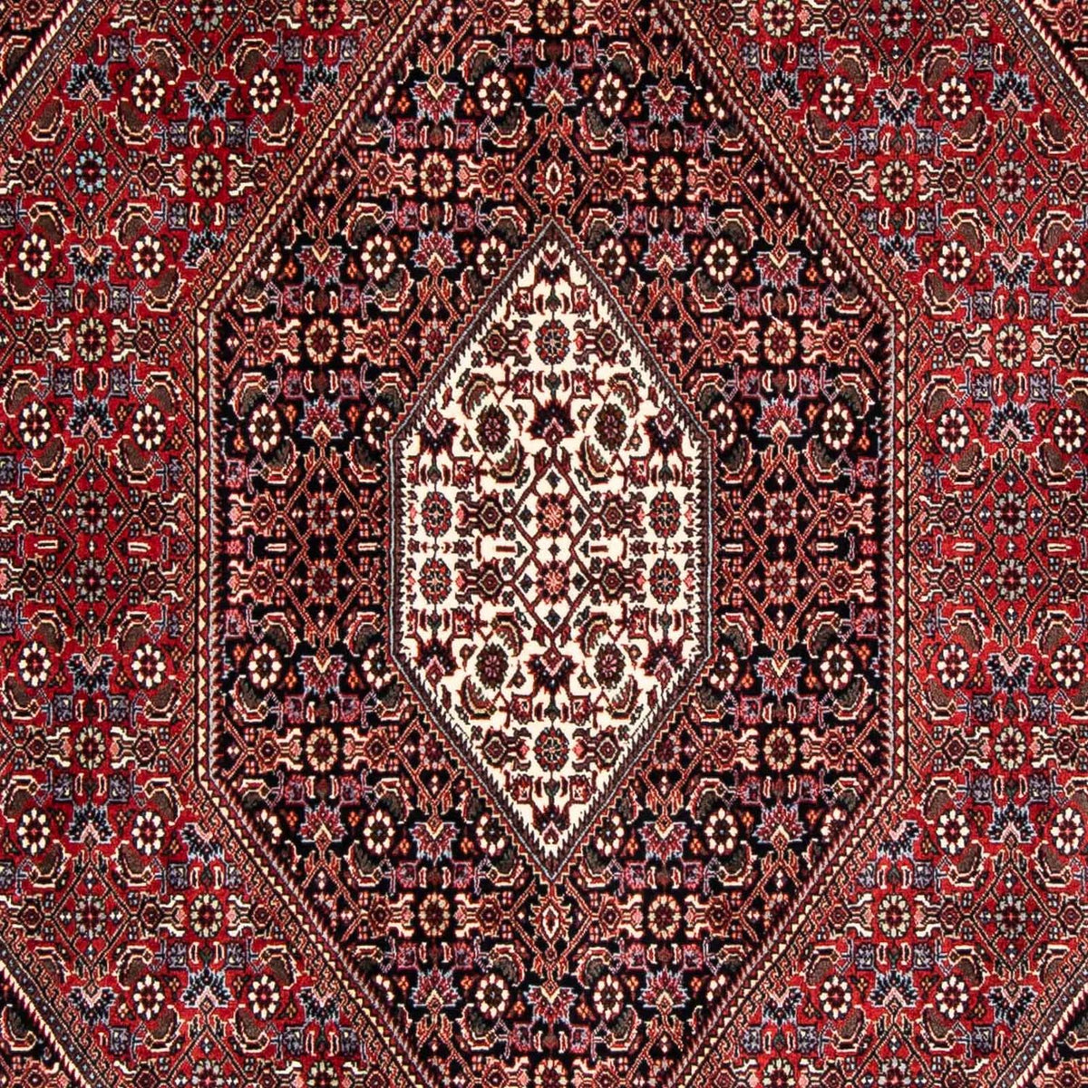 Perser Rug - Bidjar - 246 x 167 cm - dark red