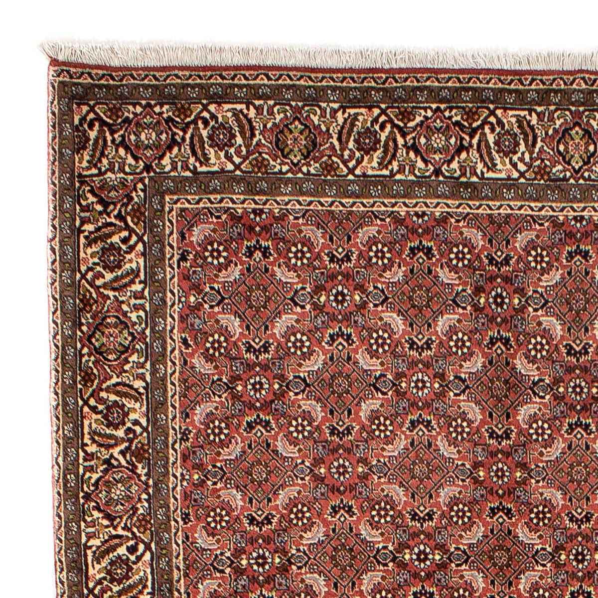 Perser Rug - Bidjar - 244 x 172 cm - dark red