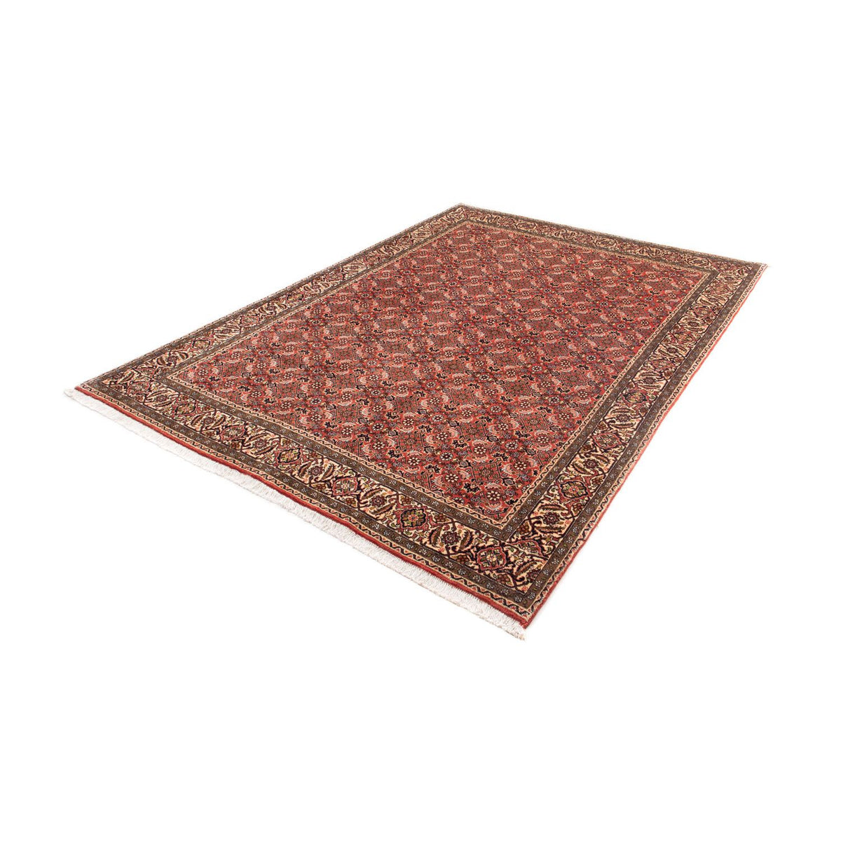 Perser Rug - Bidjar - 244 x 172 cm - dark red