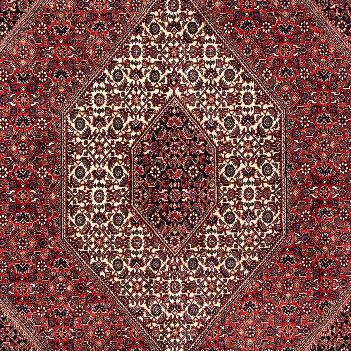 Perser Rug - Bidjar - 245 x 167 cm - dark red