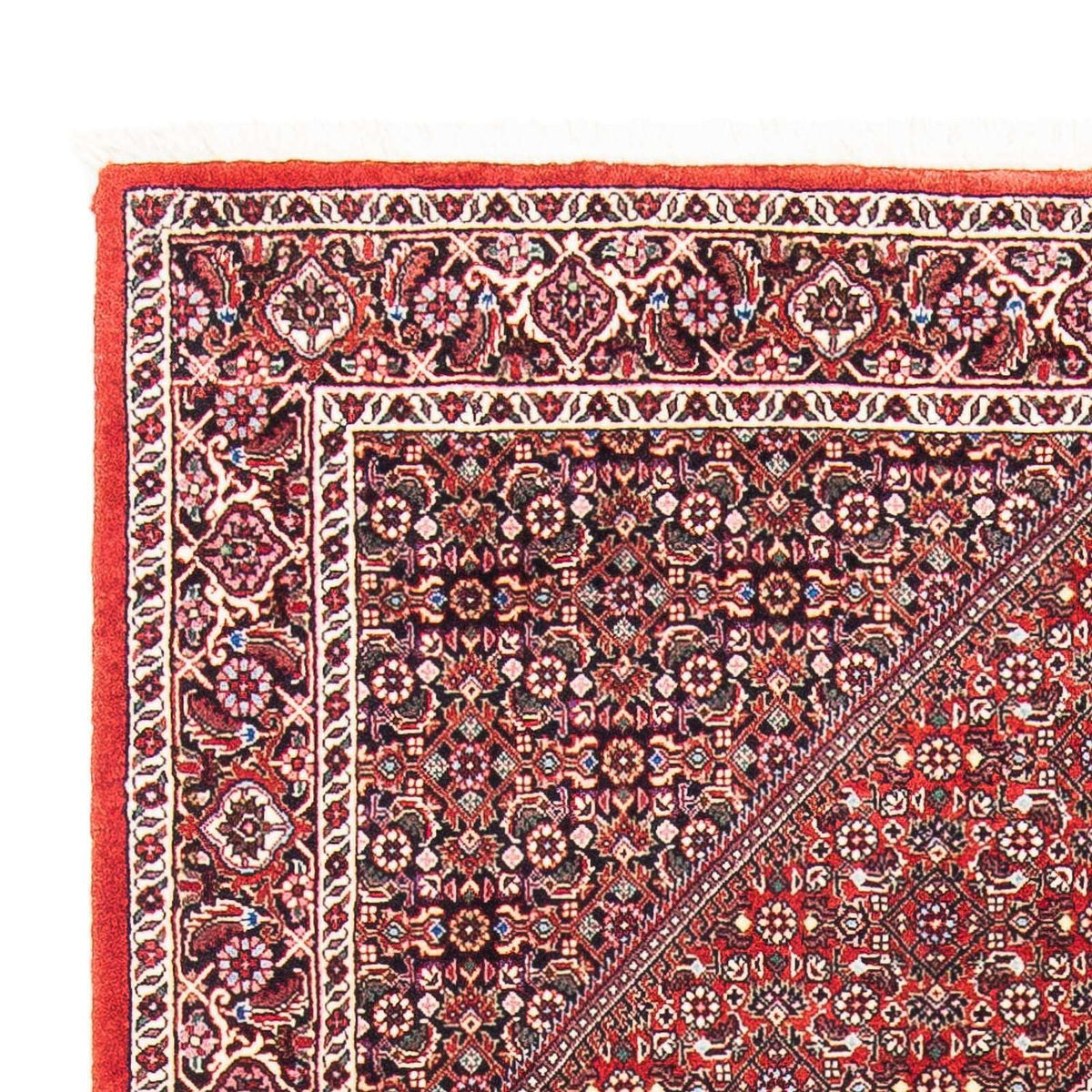 Perser Rug - Bidjar - 185 x 112 cm - red