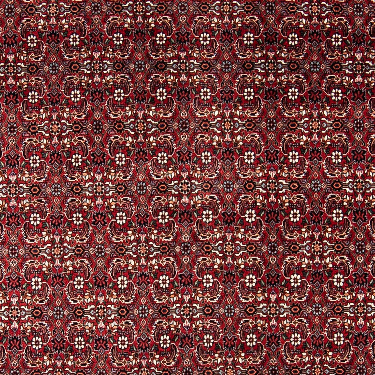 Perser Rug - Bidjar - 240 x 168 cm - dark red