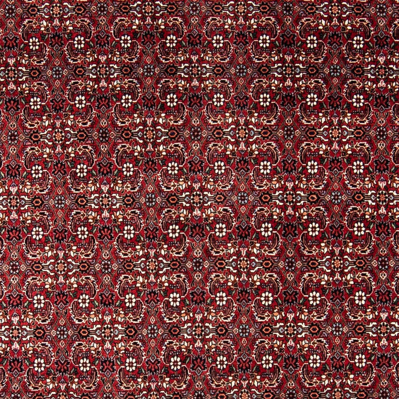 Perser Rug - Bidjar - 240 x 168 cm - dark red