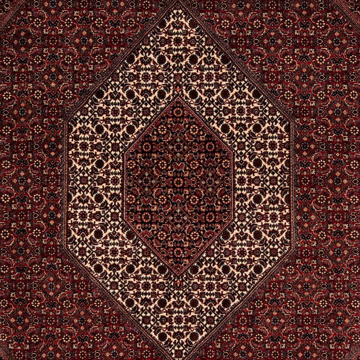 Perser Rug - Bidjar - 252 x 208 cm - dark red
