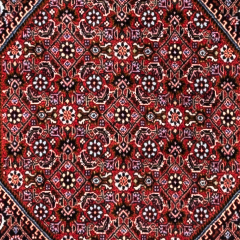 Perser Rug - Bidjar - 318 x 200 cm - red