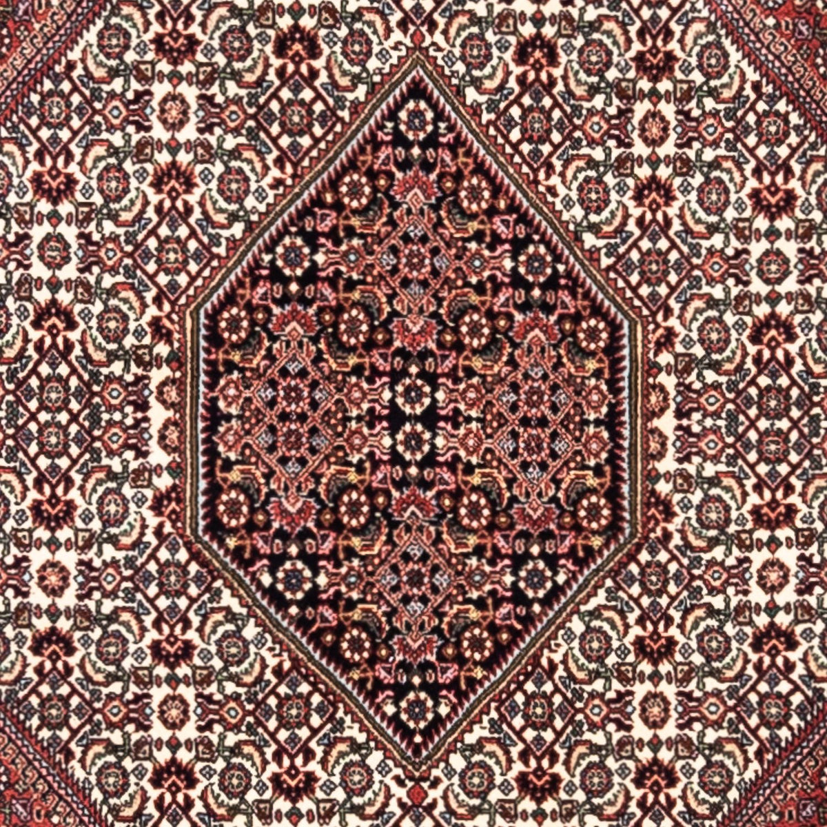 Perser Rug - Bidjar - 295 x 200 cm - red