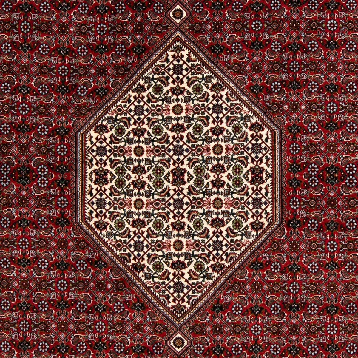 Perser Rug - Bidjar square  - 203 x 196 cm - dark red