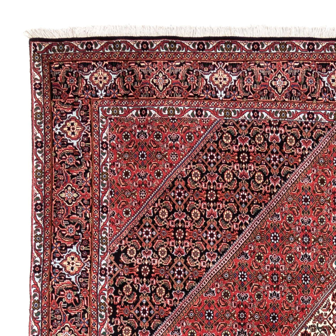 Bidjar - Takab Rug 300x200cm - Persian Rugs