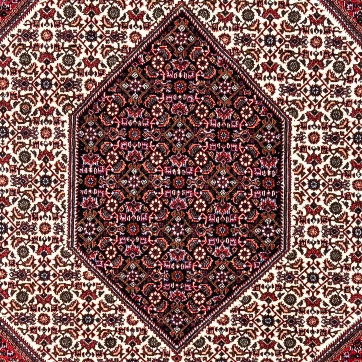 Perser Rug - Bidjar - 302 x 200 cm - red
