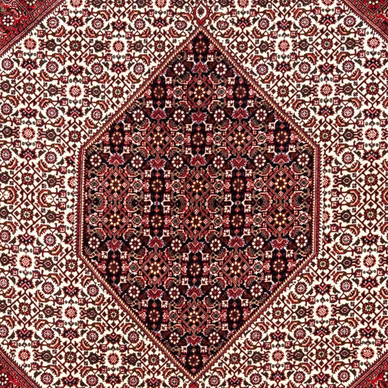 Bidjar - Takab Rug 360x253cm - Persian Rugs