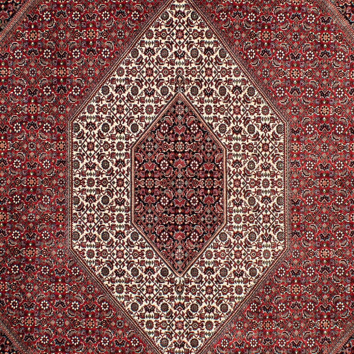 Perser Rug - Bidjar - 298 x 200 cm - dark red