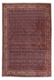 Bidjar Rug 168x237cm - Persian Rugs