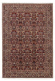 Bidjar Rug 248x170cm - Persian Rugs