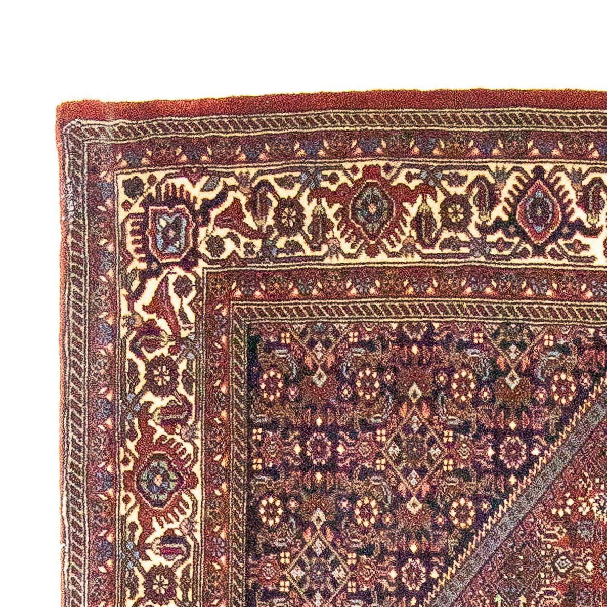 Bidjar Rug 107x170cm - Persian Rugs